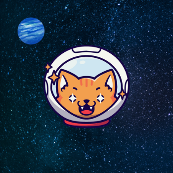 Collection cover image