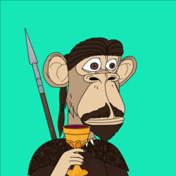 Collection cover image