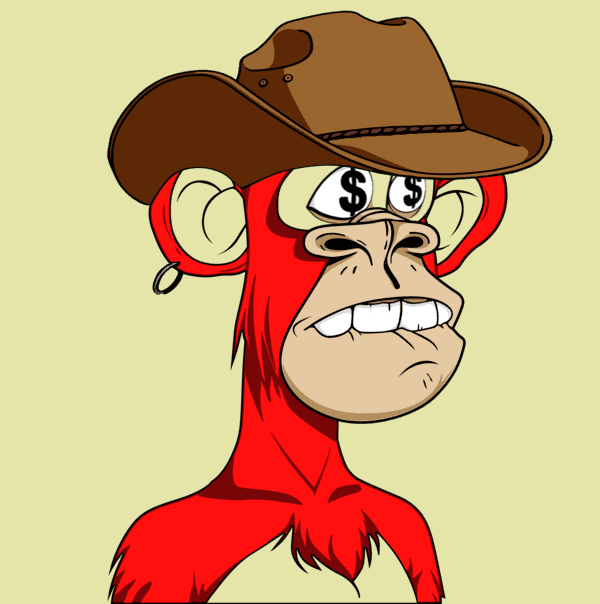 Collection cover image