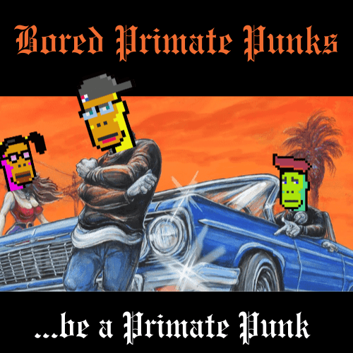 Collection cover image