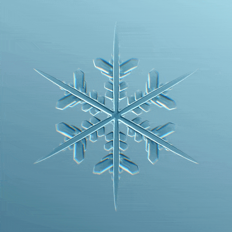 Collection cover image