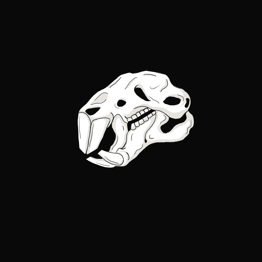 Collection cover image
