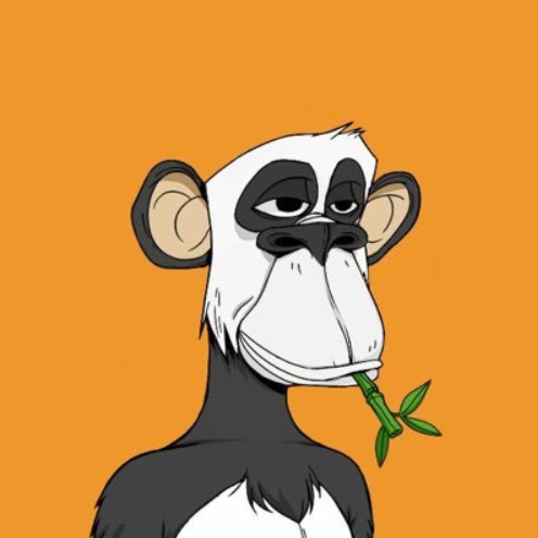 Collection cover image