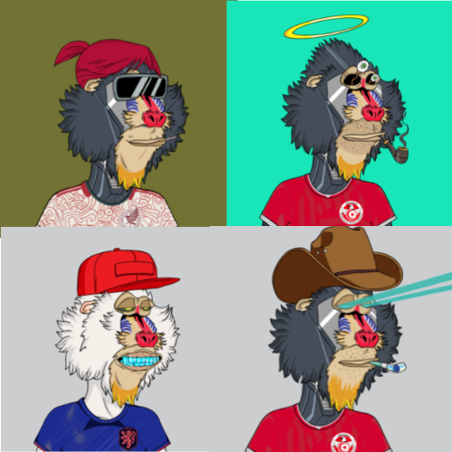 Collection cover image