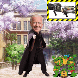 Collection cover image