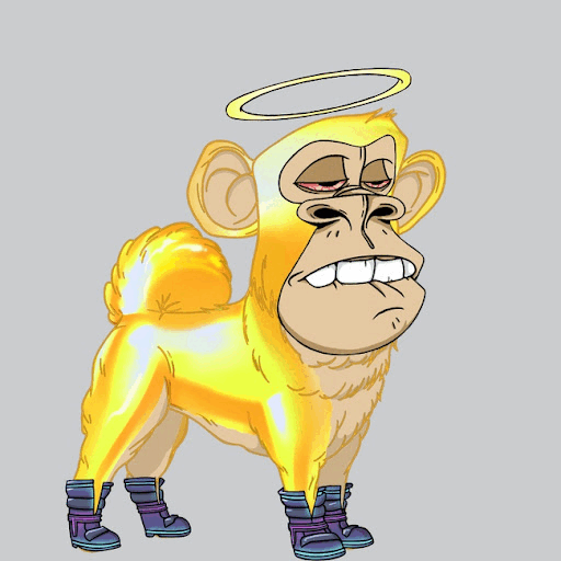 Collection cover image