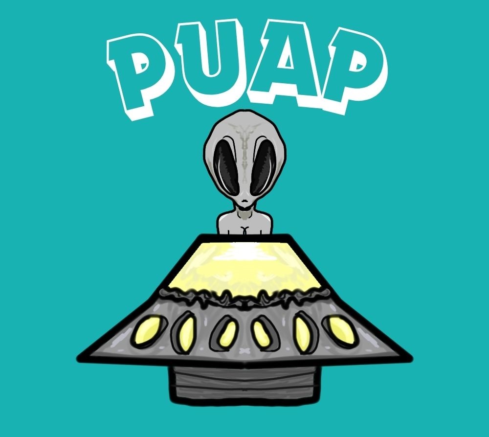 Collection cover image