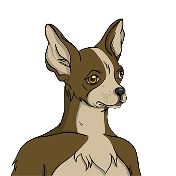 Collection cover image