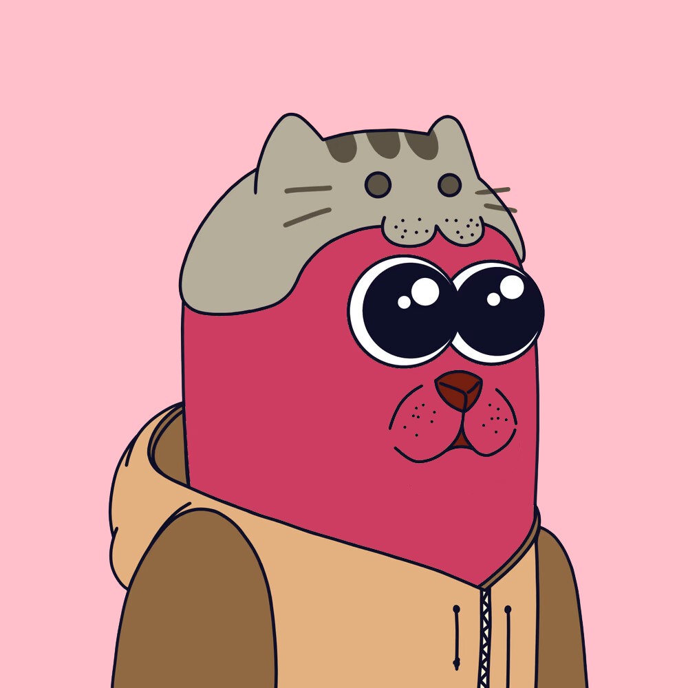 Collection cover image