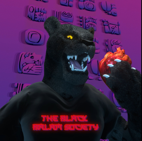 Collection cover image