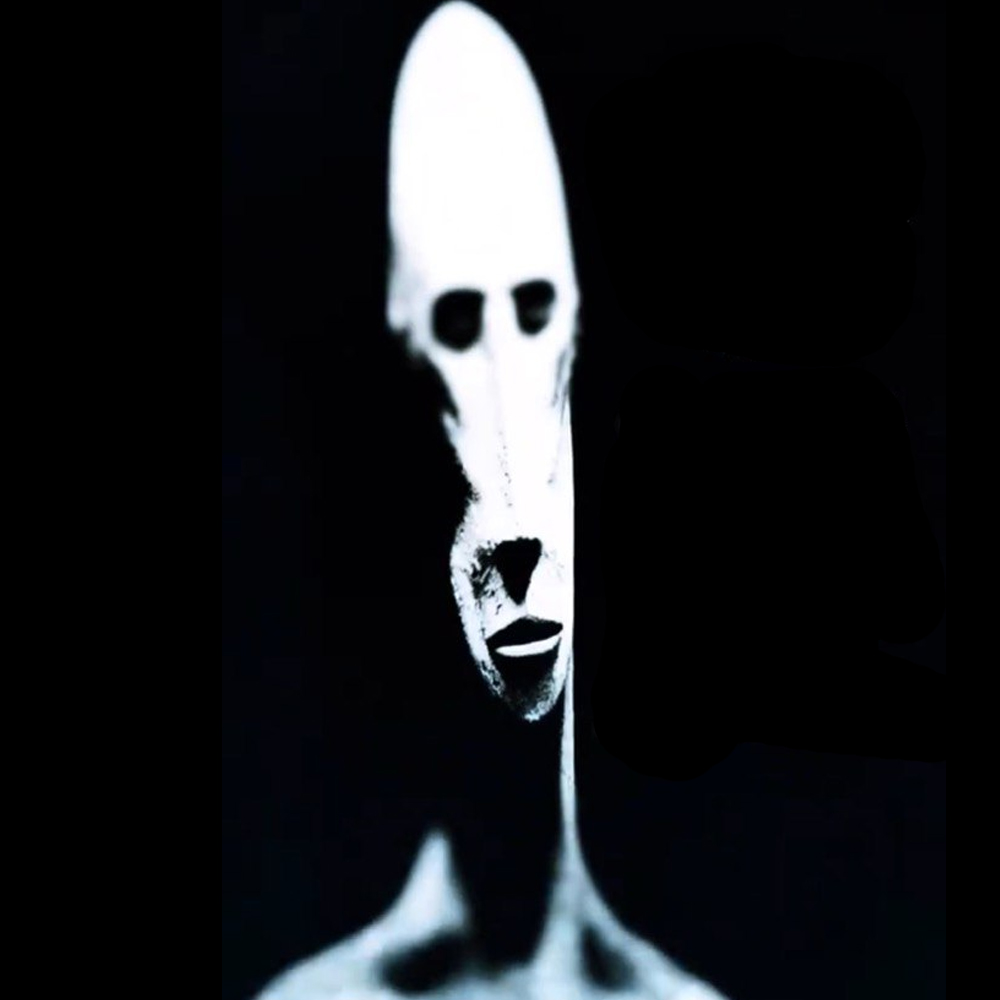 Collection cover image