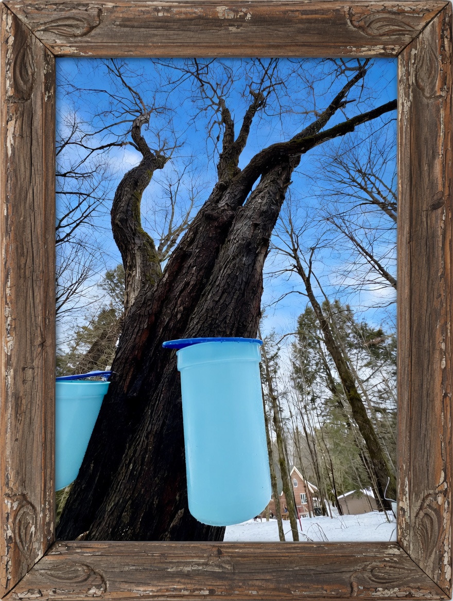 Collection cover image