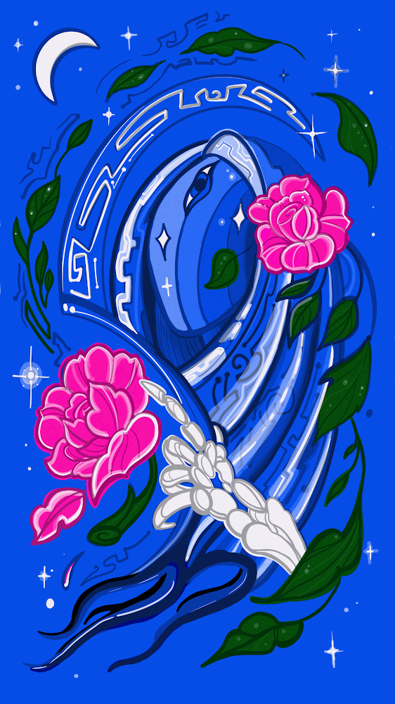 Collection cover image