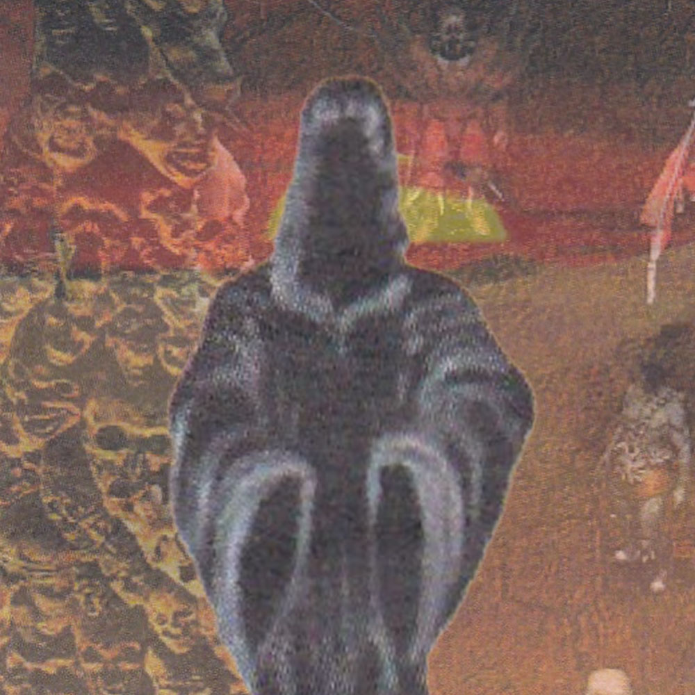 Collection cover image
