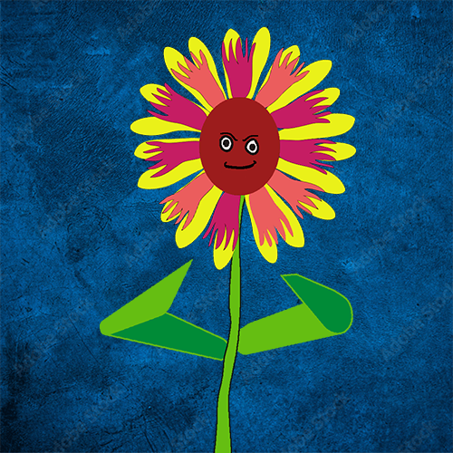 Collection cover image