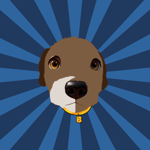 Collection cover image