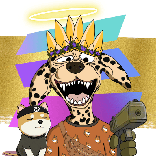 Collection cover image
