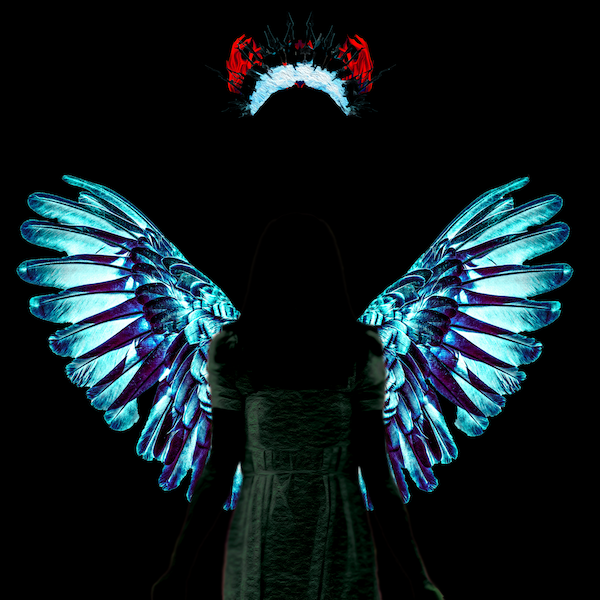Collection cover image