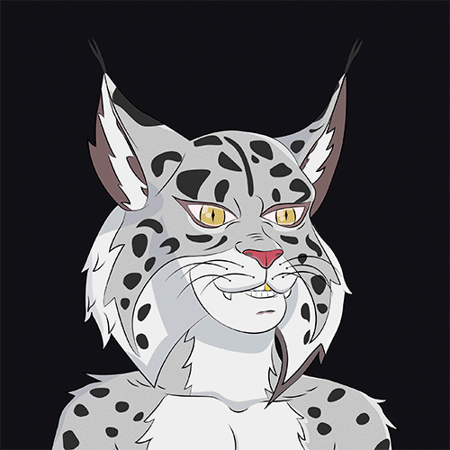 Collection cover image