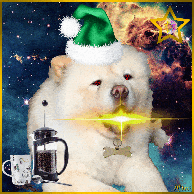 Collection cover image