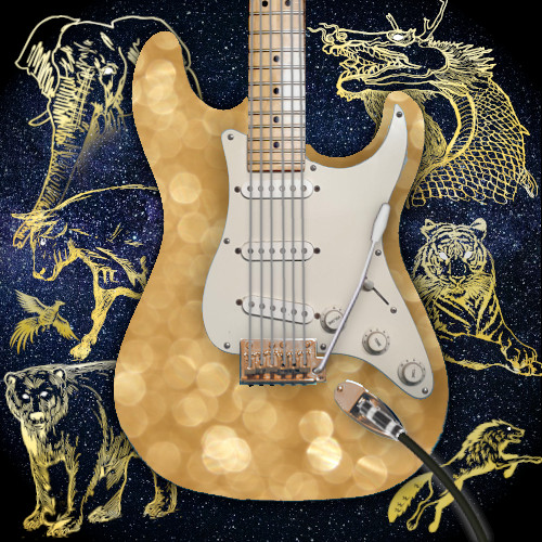 Collection cover image