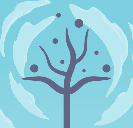 Collection cover image