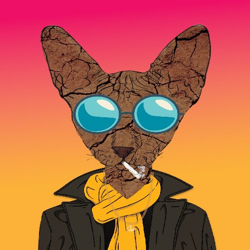Collection cover image
