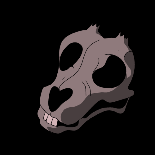 Collection cover image
