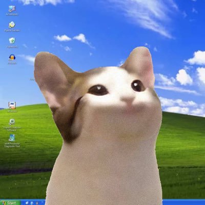 Collection cover image