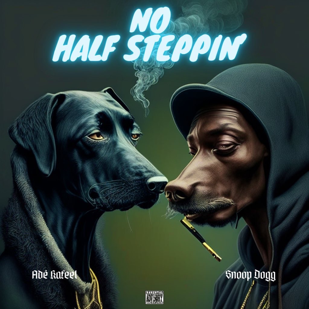 Collection cover image