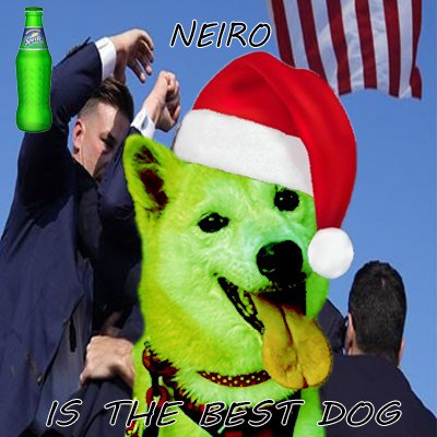 Collection cover image