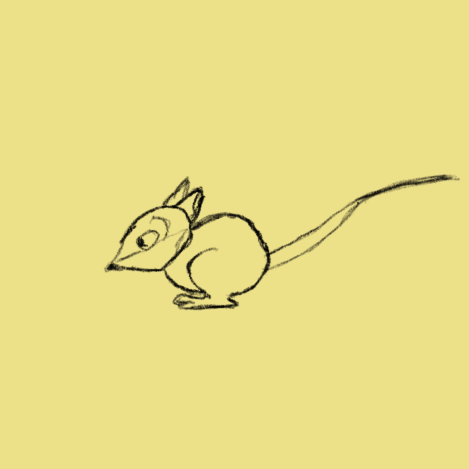 Collection cover image