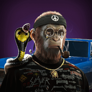 Collection cover image
