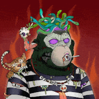 Collection cover image