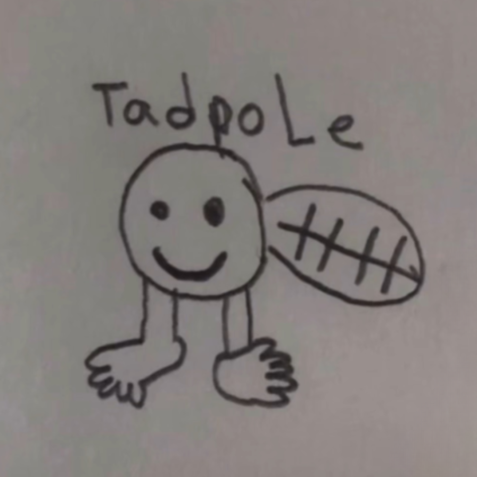 Collection cover image