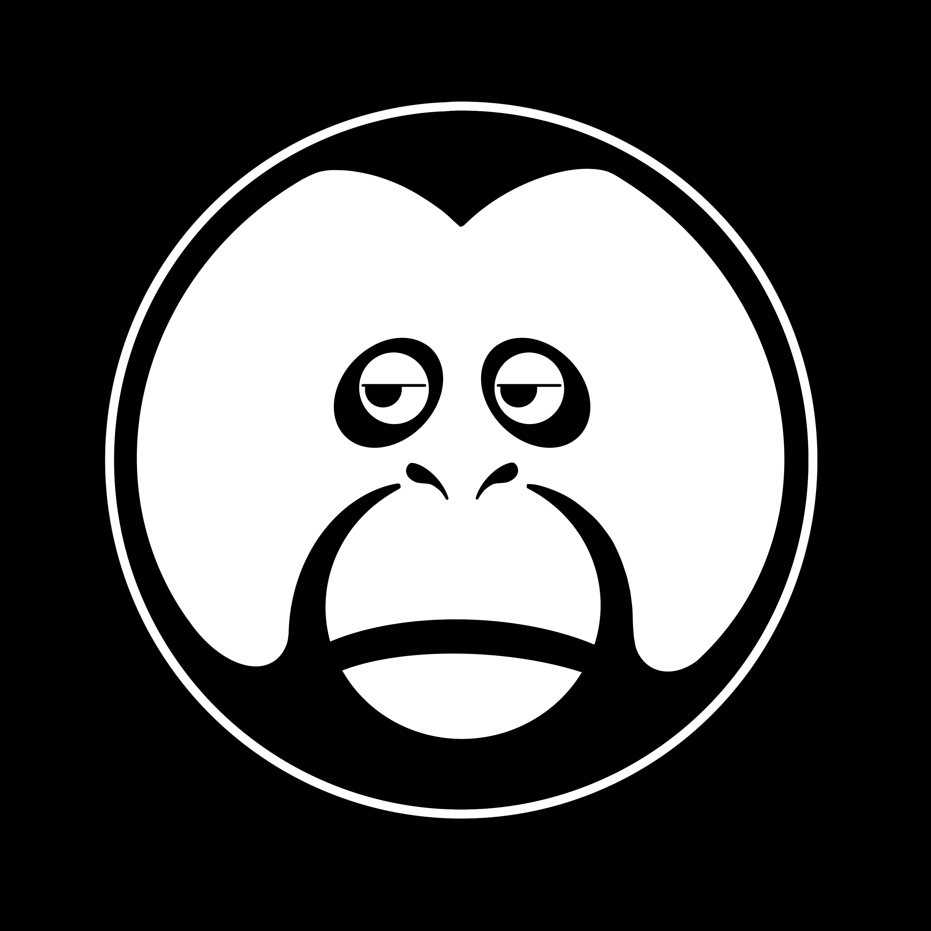 Collection cover image