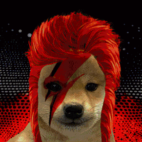 Collection cover image