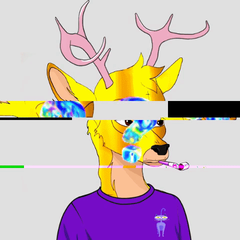 Collection cover image