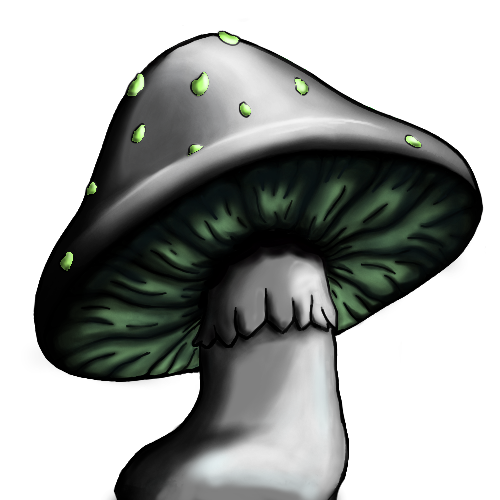 Collection cover image