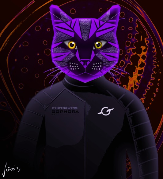 Collection cover image