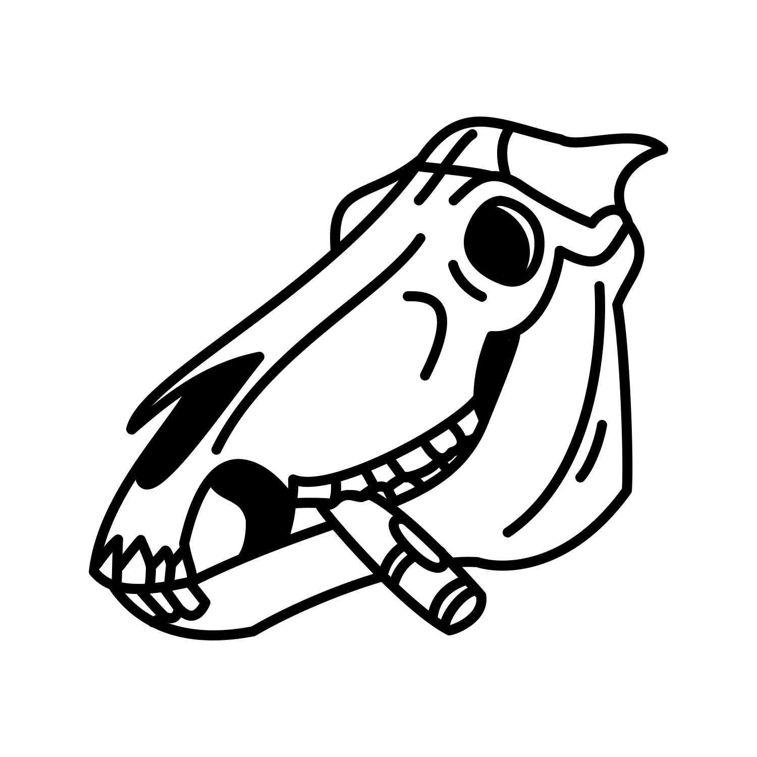 Collection cover image