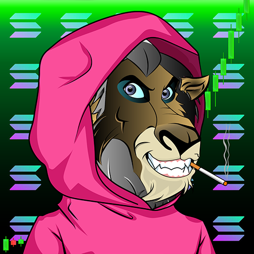 Collection cover image