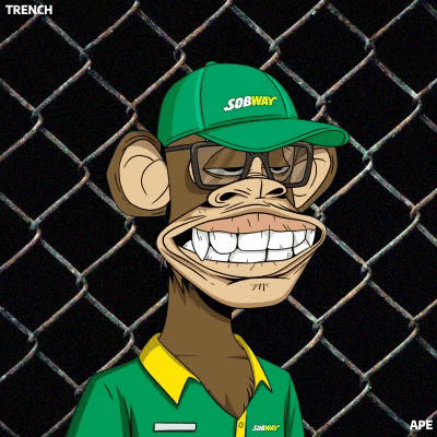 Collection cover image