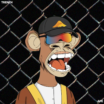 Collection cover image