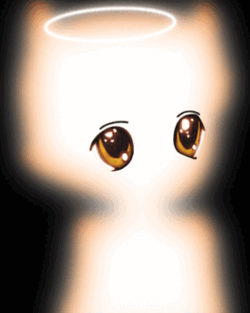 Collection cover image