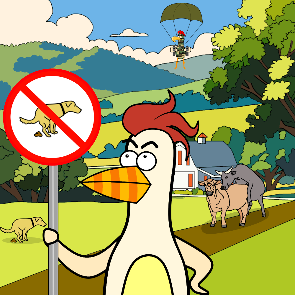 Collection cover image