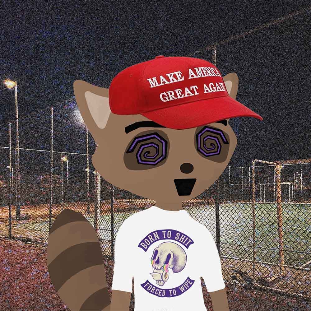 Collection cover image