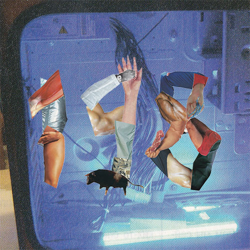 Collection cover image