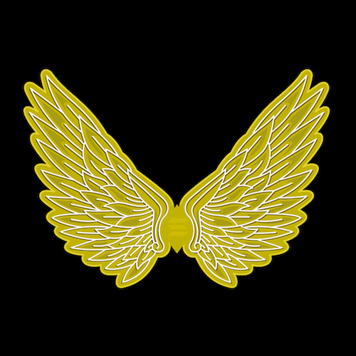 Collection cover image