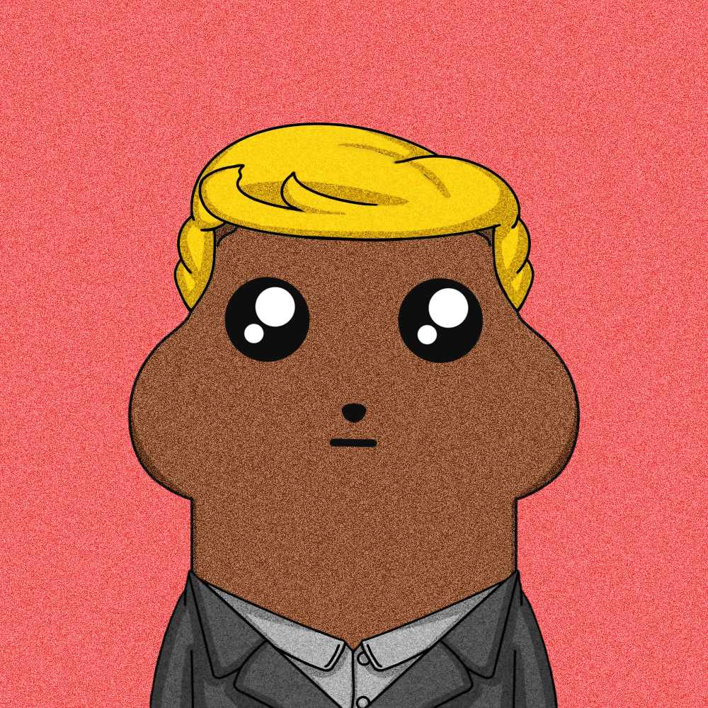 Collection cover image